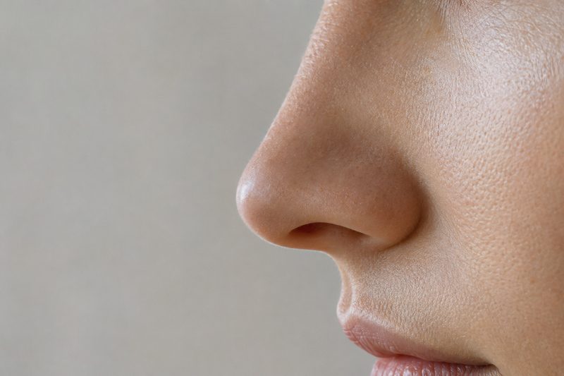The Longevity Hack in Your Nostrils: Why Olfactory Wellness is the Future of Cognitive Reserve