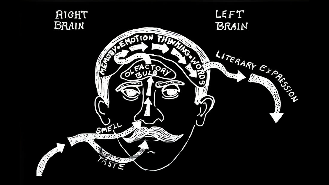 Der Proust-Phenomenon: Warum Düfte Erinnerungen und Emotionen so stark auslösen