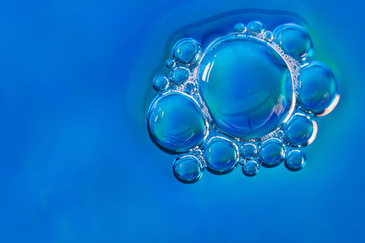 Der wissenschaftliche Hintergrund